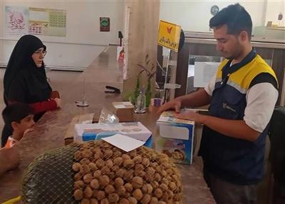 86 Tons of Tuyserkan Walnuts Shipped via E‑Commerce Service